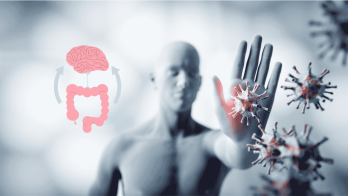 Gut Brain Immune