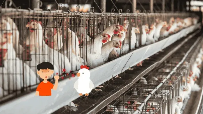H5n5 Bird Flu