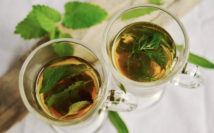 藥草茶