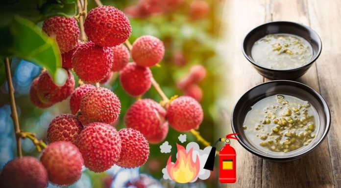 荔枝吃過多恐「荔枝病」,醫曝2方法不上火,一天最多吃「這麼多」加碼3招保鮮不變黑 How To Eat Lychee Safely