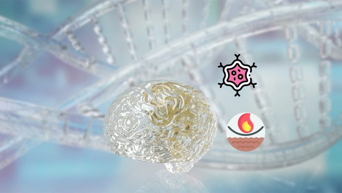 Immunity Cell Burn Fat