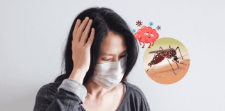 Japanese Encephalitis Prevention