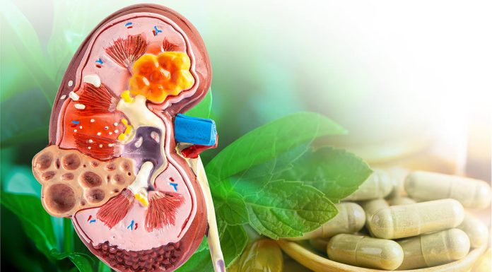 Kidney VitC
