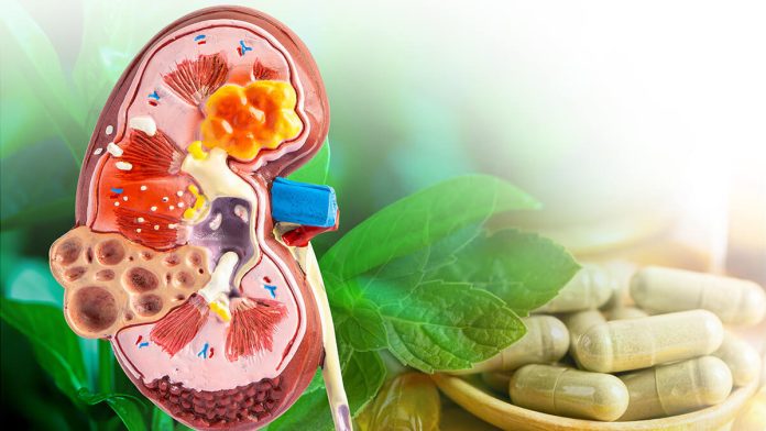 Kidney VitC