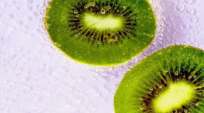 科學研究一天兩顆奇異果 排便次數翻倍
