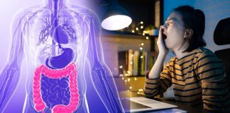 Late Night Gut Health Sleep Imbalance