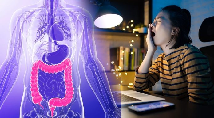 Late Night Gut Health Sleep Imbalance