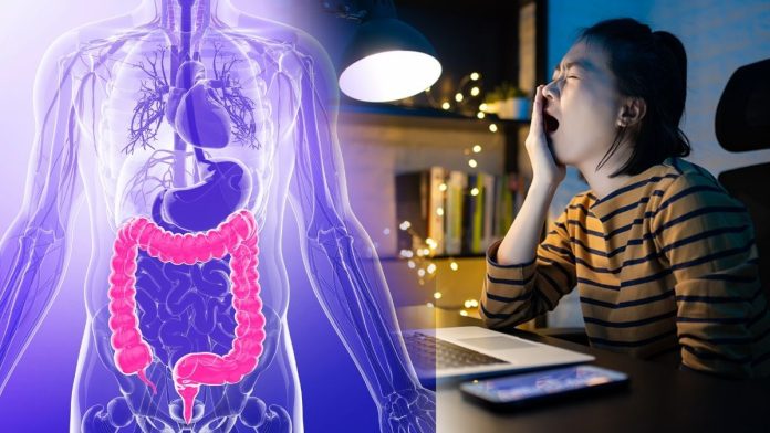 Late Night Gut Health Sleep Imbalance