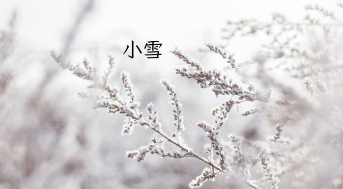 Light Snow