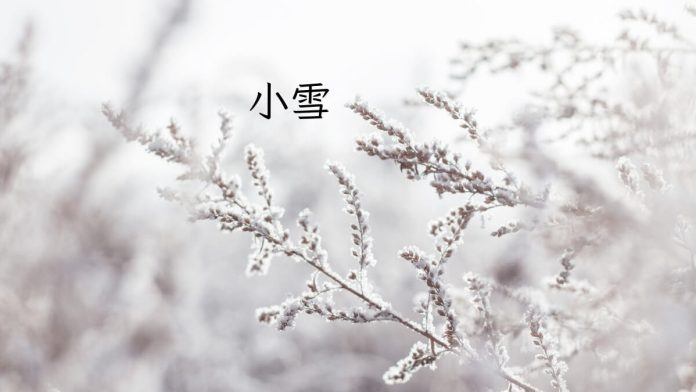 Light Snow