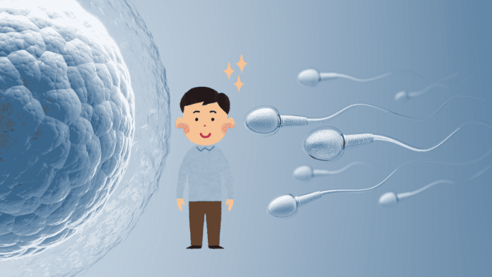 Mansperm