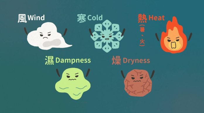 中醫外邪六氣