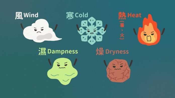 中醫外邪六氣