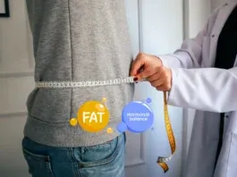 Middle Aged Men Visceral Fat Testosterone Cycle