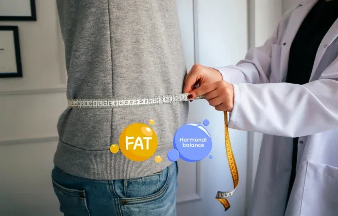 Middle Aged Men Visceral Fat Testosterone Cycle