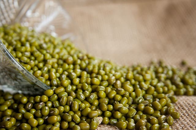 Mung Beans 1