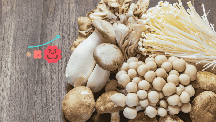 Mushroom