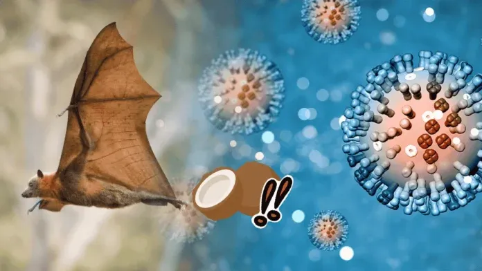 Nipah Virus India Outbreak Symptoms Prevention