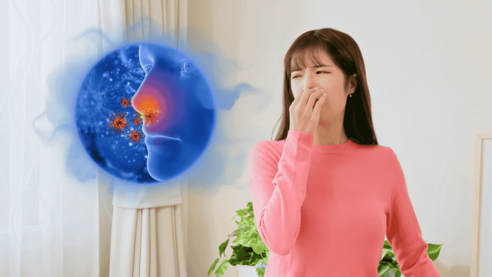 Nose Smell Fishy Mold Fungal Sinusitis Symptoms