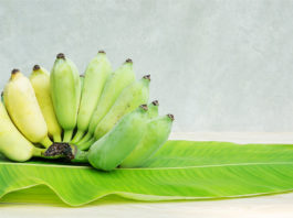Pisang Awak Banana Banana Leaf Wooden Table (1)