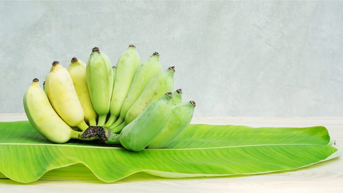 Pisang Awak Banana Banana Leaf Wooden Table (1)