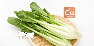 Plant Based Calcium Sources