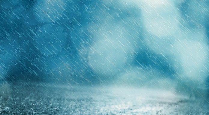 雨水節氣