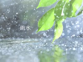 Rain Water