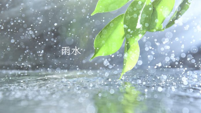 Rain Water