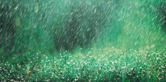 24節氣雨水