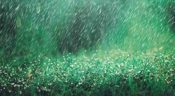 24節氣中醫養生 雨水養肝兼調脾胃 24節氣雨水