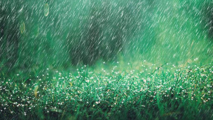 24節氣雨水