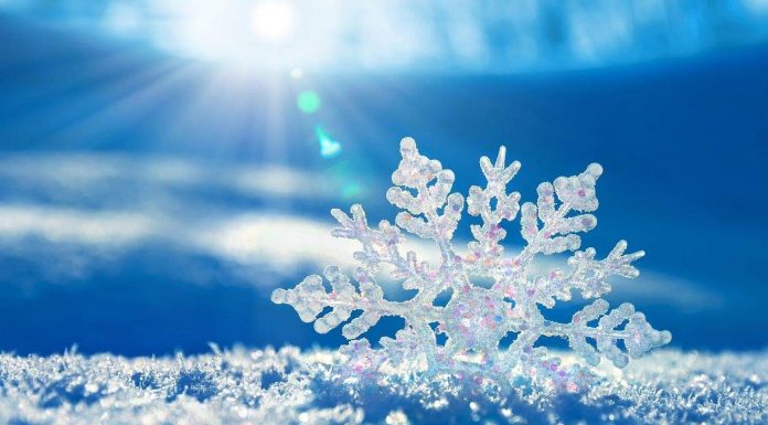 小雪節氣