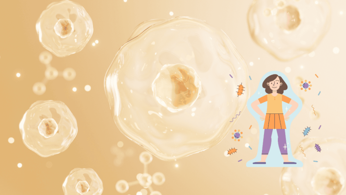 regulatory-t-cells-autoimmune