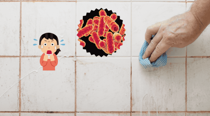 Serratia Marcescens In Bathroom