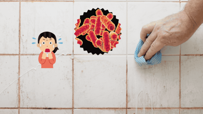 Serratia Marcescens In Bathroom