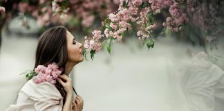 Smell Memory
