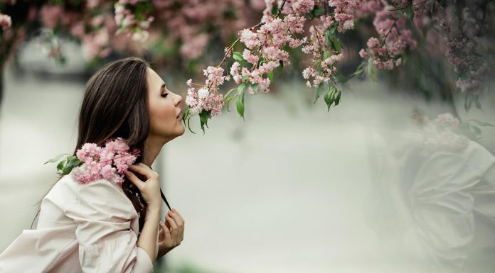Smell Memory