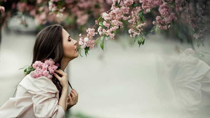 Smell Memory