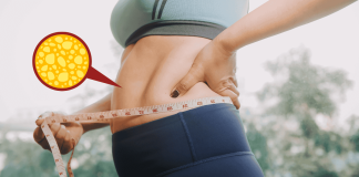 Soluble Fiber Visceral Fat Loss