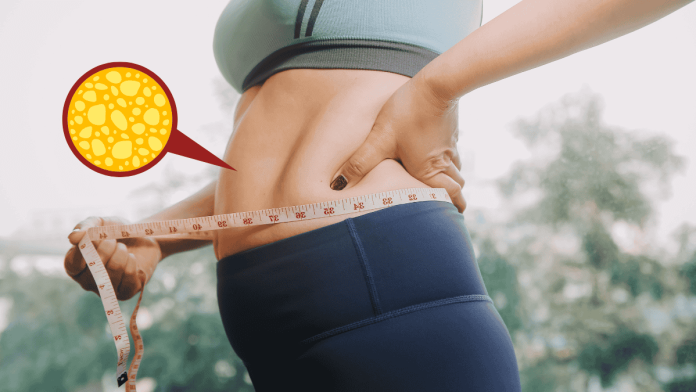 Soluble Fiber Visceral Fat Loss