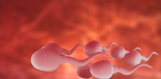 Sperm