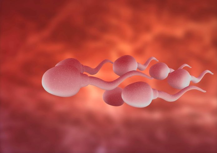 Sperm