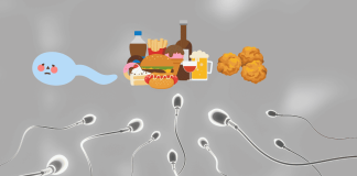 2種「殺精」食物讓年輕男性精子數量驟減!專家揭養精飲食「3不3要」 Sperm NG Diet