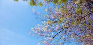 Spring Equinox