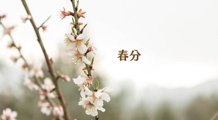 Spring Equinox