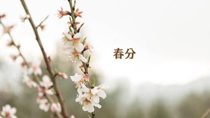 Spring Equinox