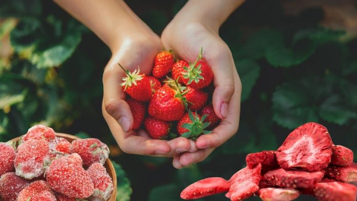 Strawberry Anti Cancer