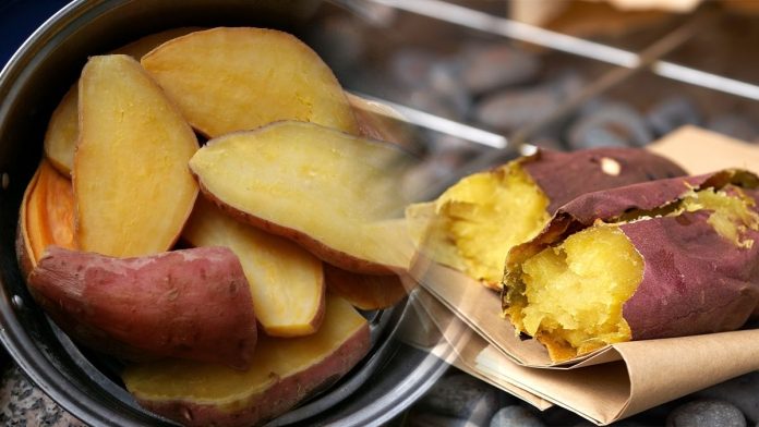 Sweet Potato Gi Cookin Steamed Roasted