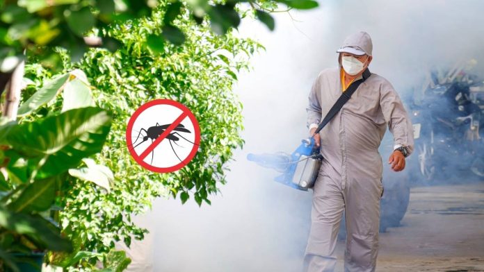 Taiwan Local Dengue Fever Case